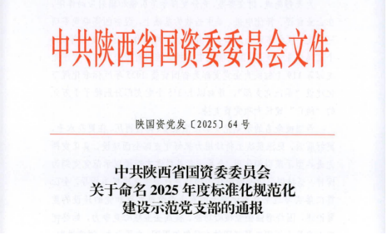 喜報|凌峰環(huán)球印務(wù)黨支部榮獲“陜西省國資委2025年度標(biāo)準(zhǔn)化規(guī)范化建設(shè)示范黨支部”榮譽稱號